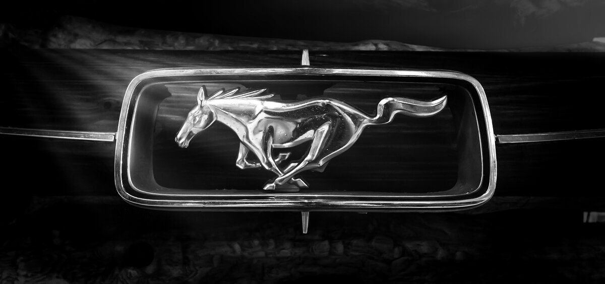 Mustang - Андрей Неуймин