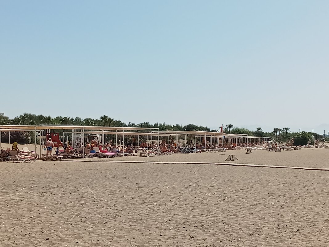 Пляж с "домиками" где отложены яица черепах - Виктор 