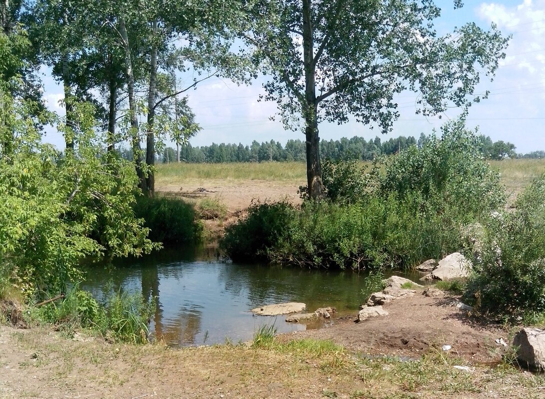 Лето за городом. - Венера Чуйкова