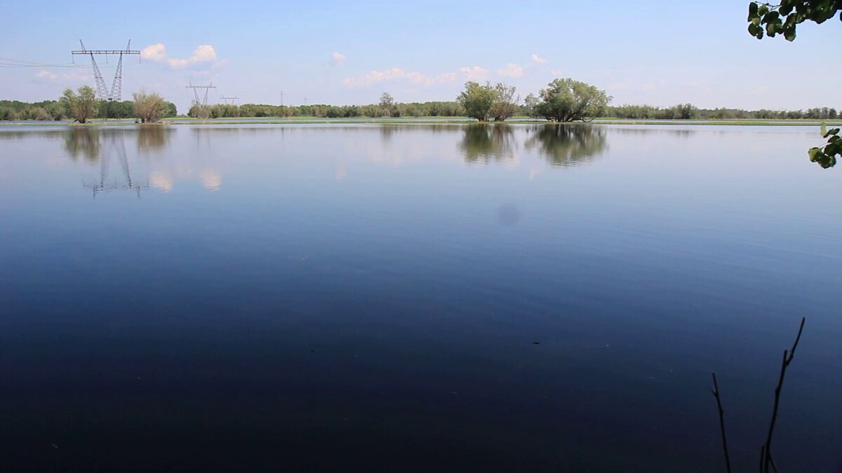 Июнь...Тальники в воде! - Владимир 