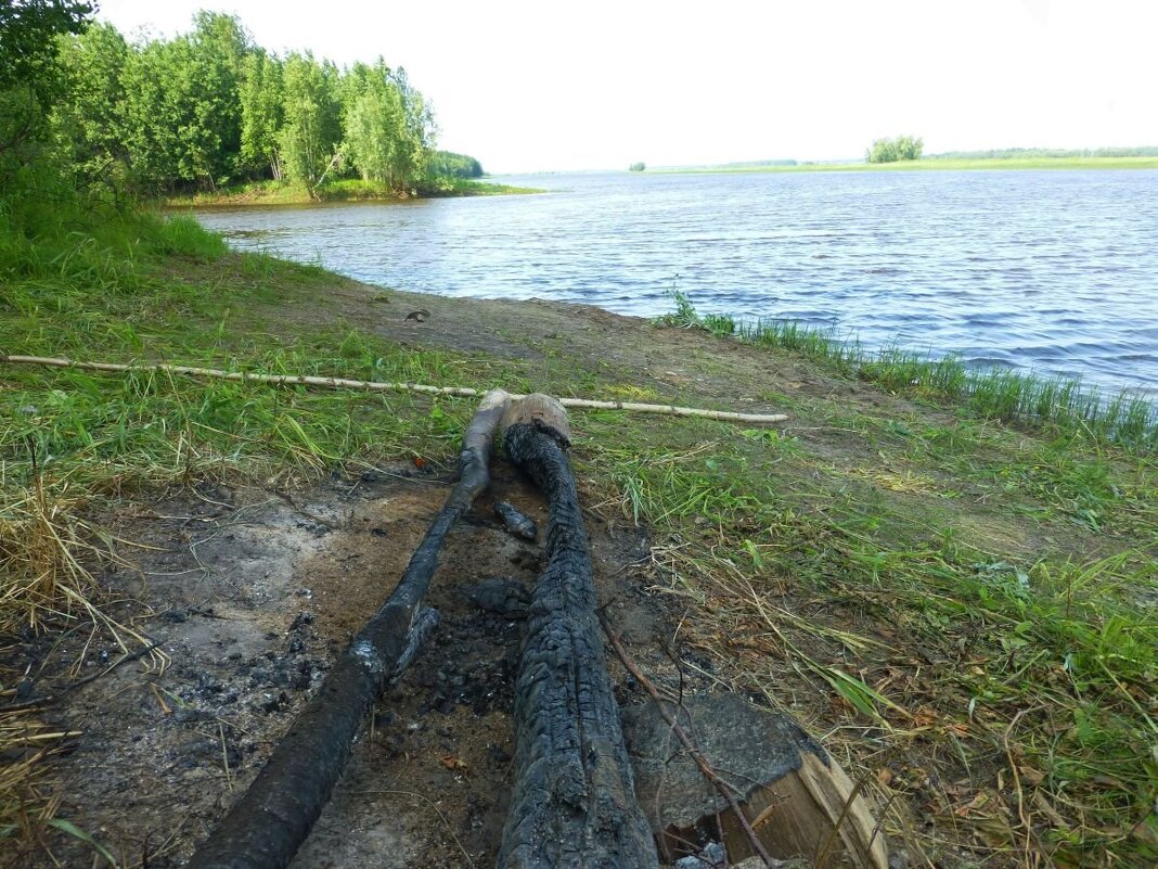 Июнь...Рыбацкое кострище на берегу протоки Девкиной. - Владимир 