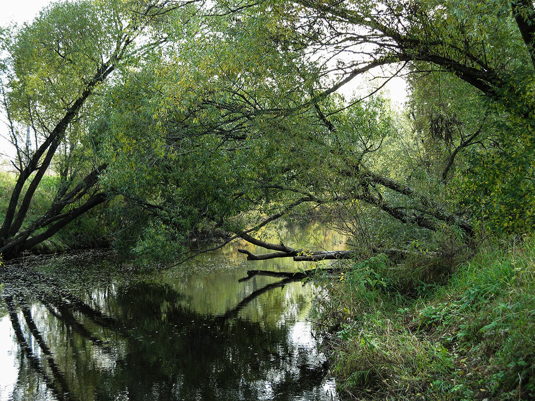 *** - Александр 