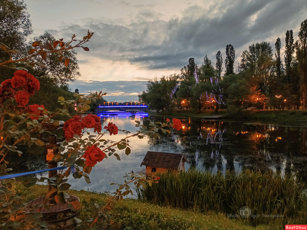 Летний вечер в городском парке Белгорода - Игорь Сарапулов