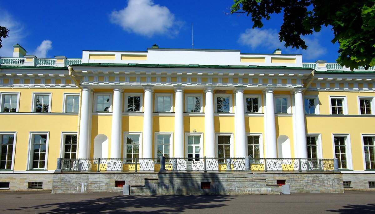 Каменноостровский дворец - Валерий Новиков