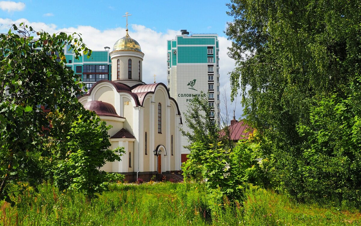 Православные храмы Смоленска. - Милешкин Владимир Алексеевич 