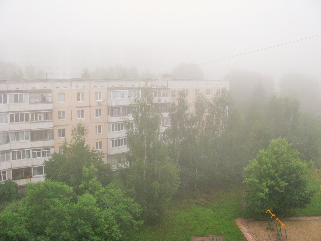 Туман. - Владимир Драгунский