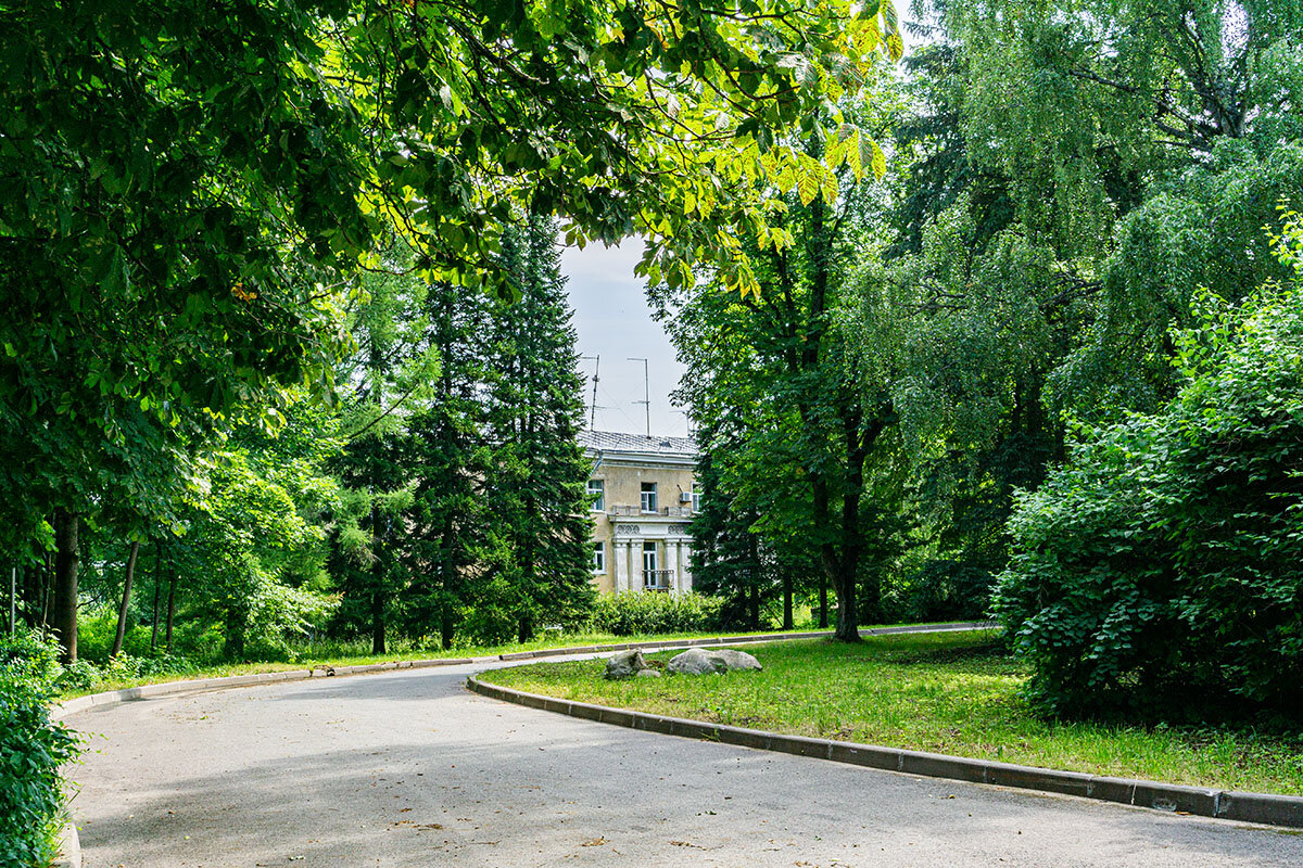 В парке - Ирина Соловьёва