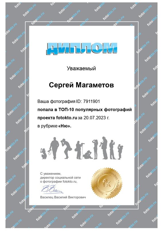 Первый диплом от сайта ФотоКто спасибо - Сергей Магаметов