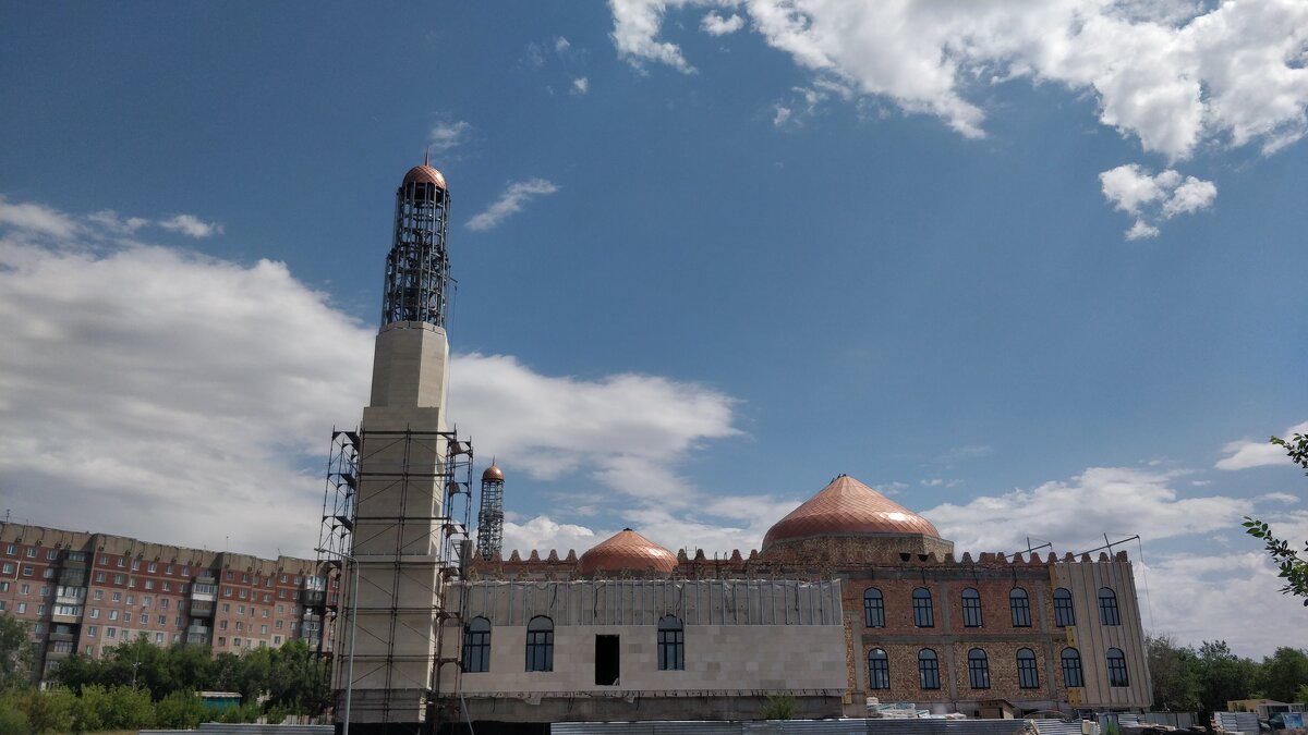 Полицейские в Майкудуке забили собаку палкой. Так они хотели ей помочь