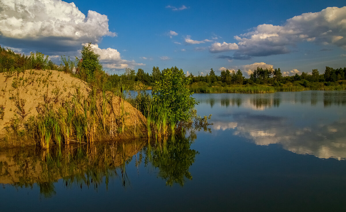 Лес, озеро, облака # 02 - Андрей Дворников