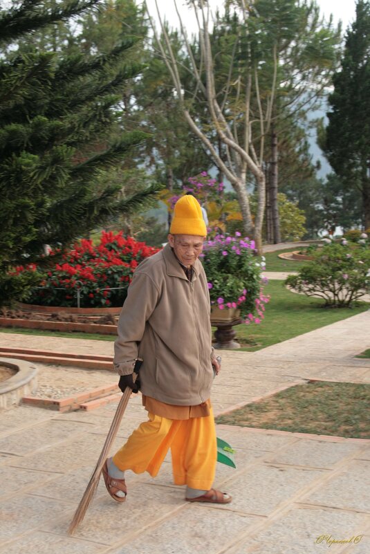 Вьетнамский монах - Лютый Дровосек
