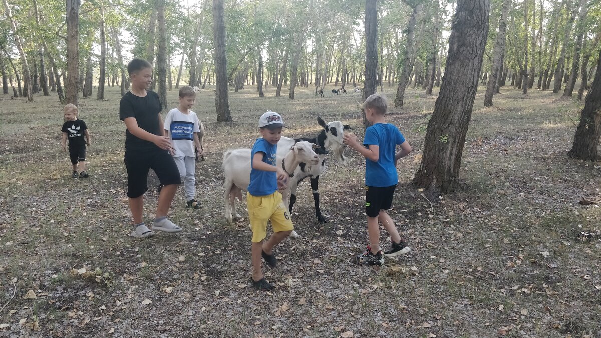 Дети и козы - Андрей Хлопонин