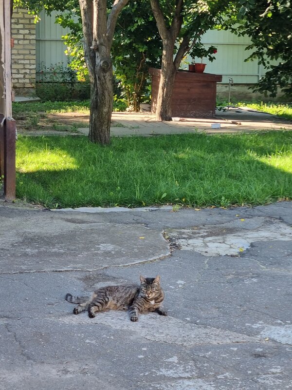 Во дворе - Наталья 