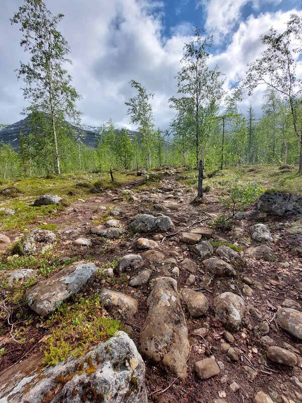 на плато Путорана - ИРЭН@ .