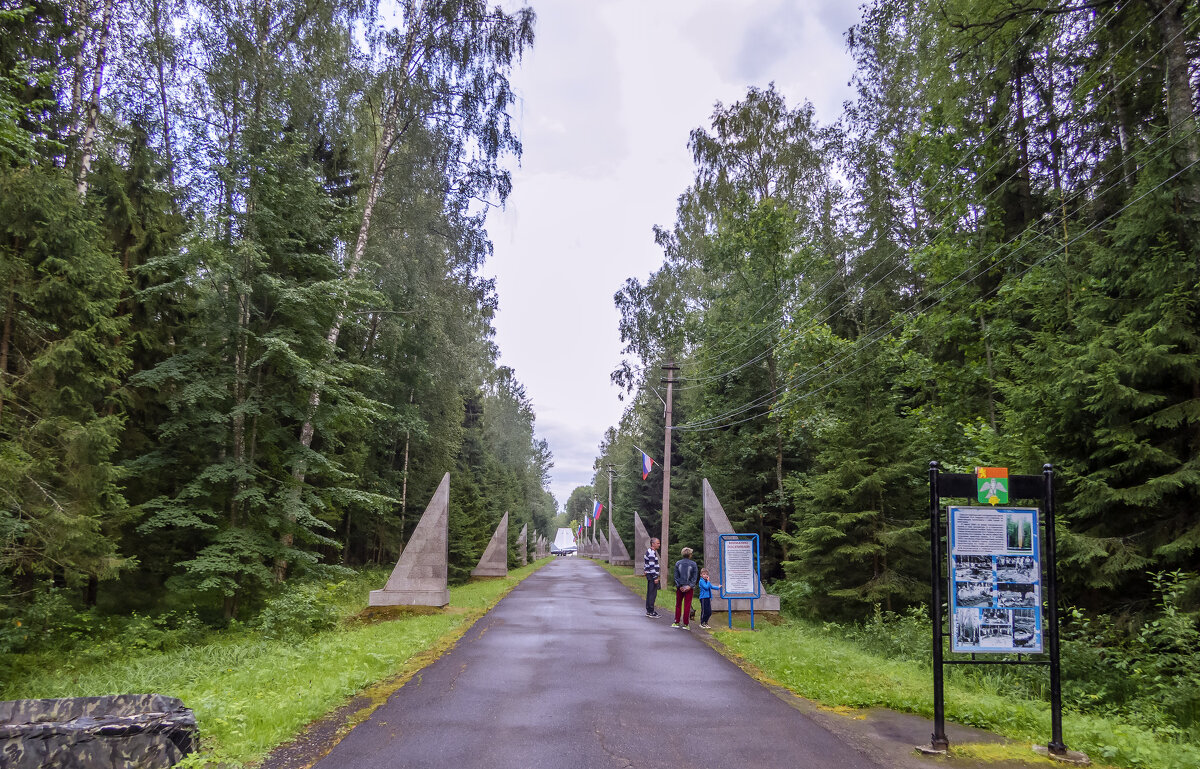 Именные стелы,Они установлены вдоль асфальтовой дороги (аллеи), ведущей к памятнику - Сергей Цветков