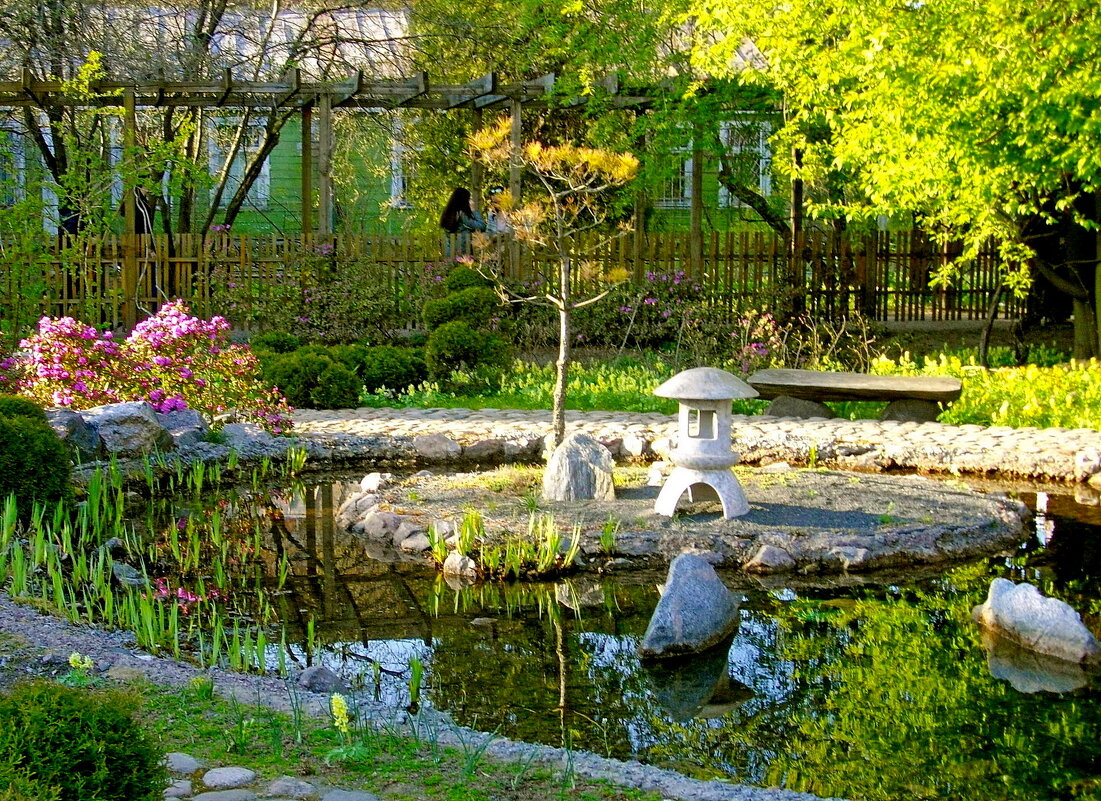 Японский садик в Ботаническом саду СПб. - Лия ☼