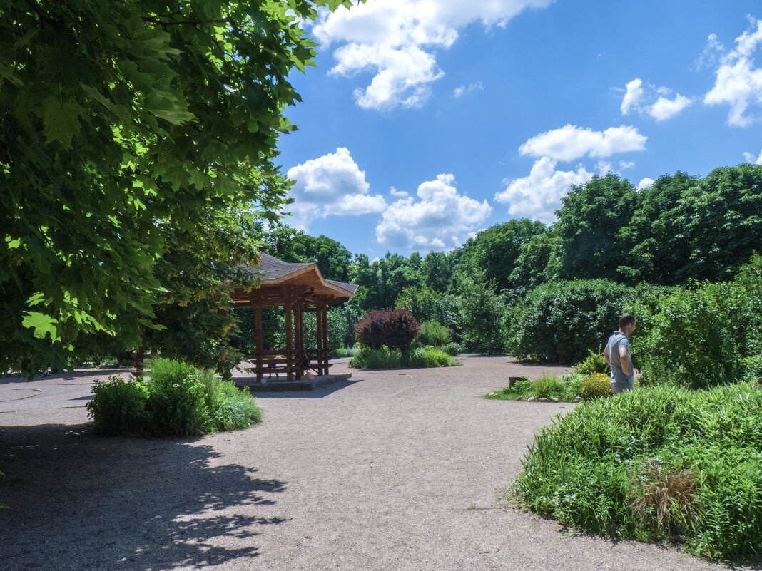 Лето в ботаническом саду - Валентин Семчишин