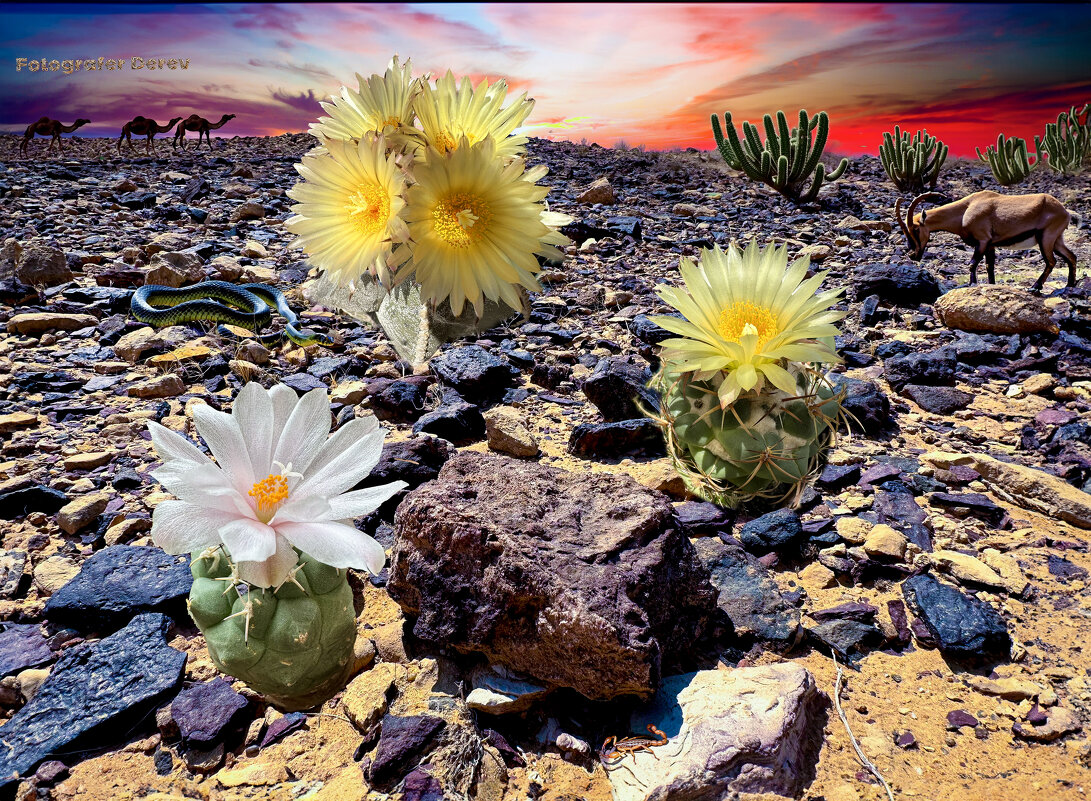 Пустыня настоящая, кактусы мои, животные ИИ - Александр Деревяшкин