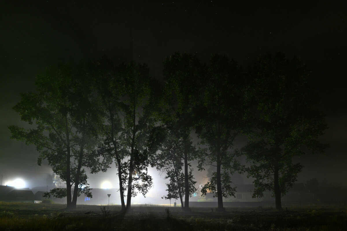 Туман ночного освещения - Сергей Шаврин