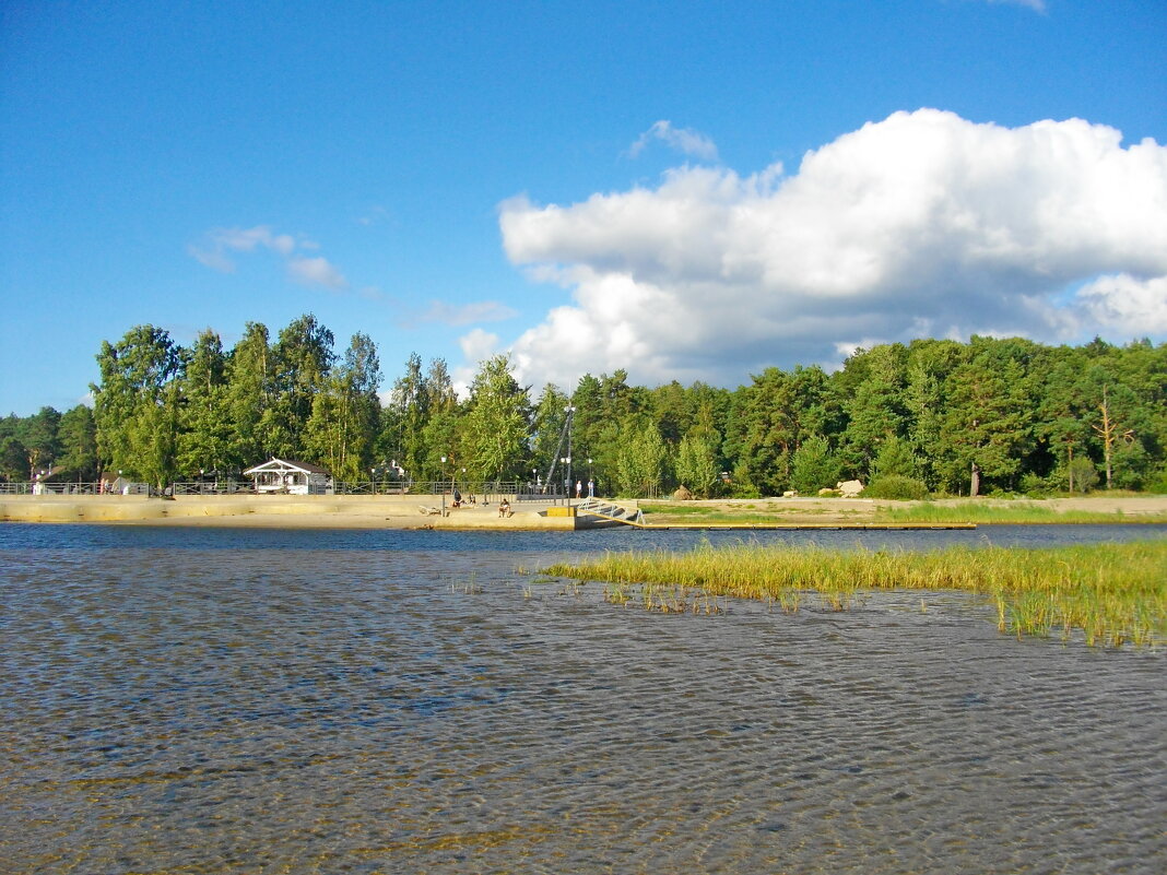 Место слияния Коваша с Финским заливом. - Лия ☼