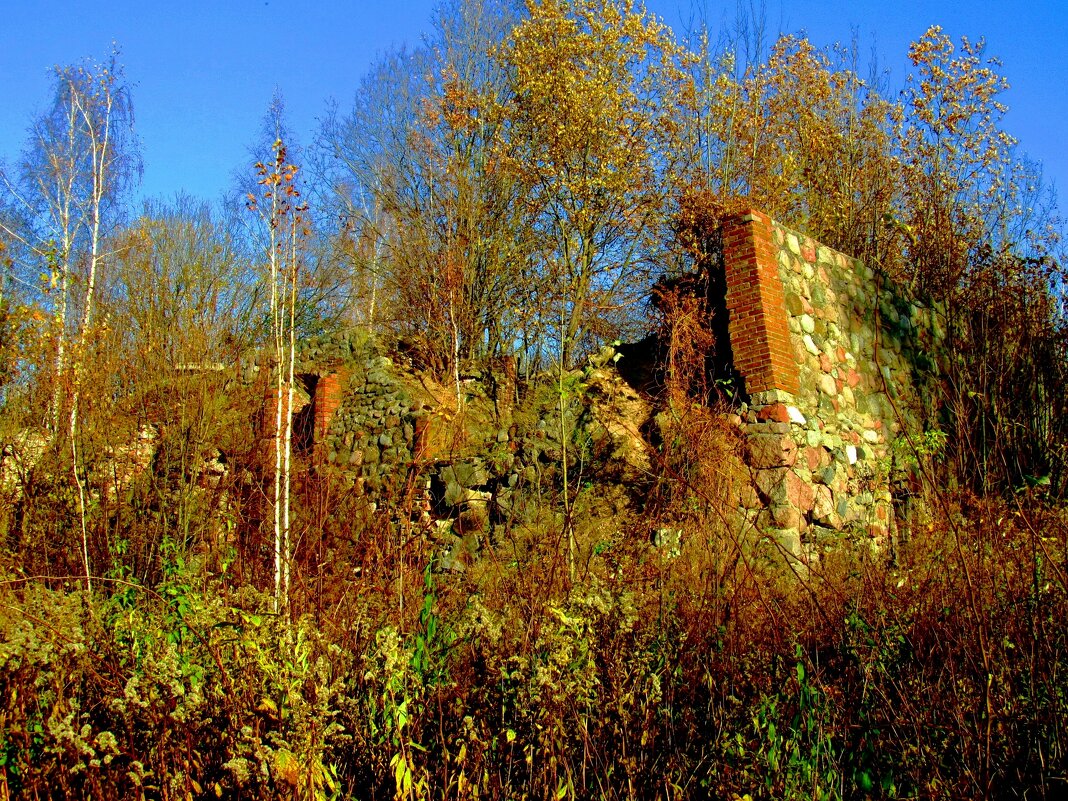 Руины замка - Сергей Карачин