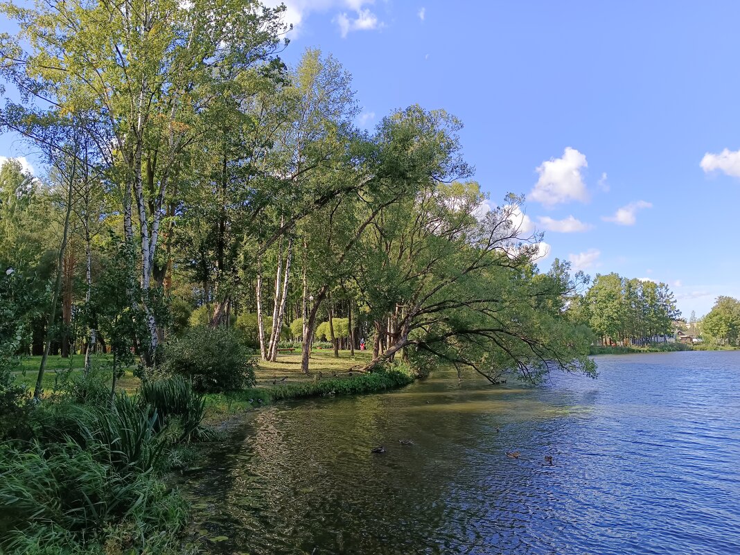 В парке - Мария Васильева