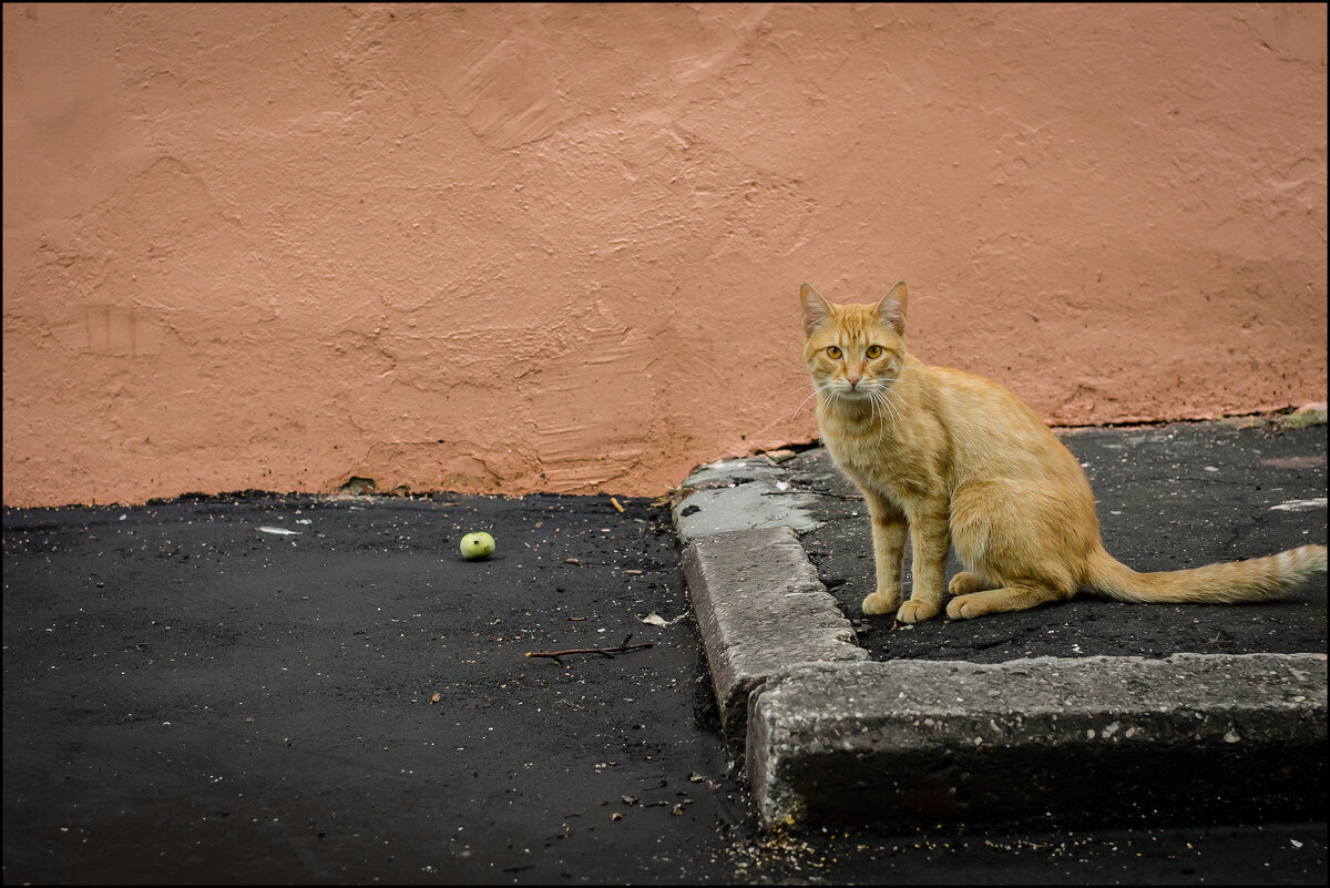 _DSC7539b - Дмитрий Рыжков