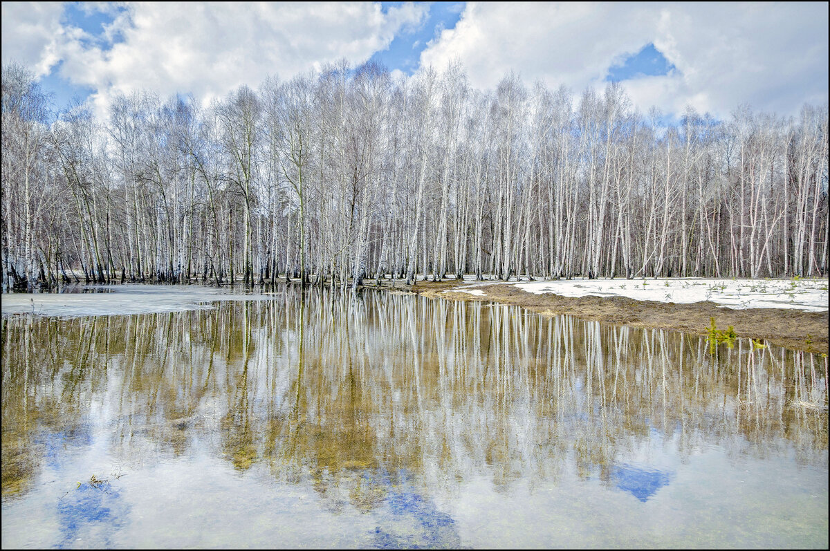 Апрель - **** vedin