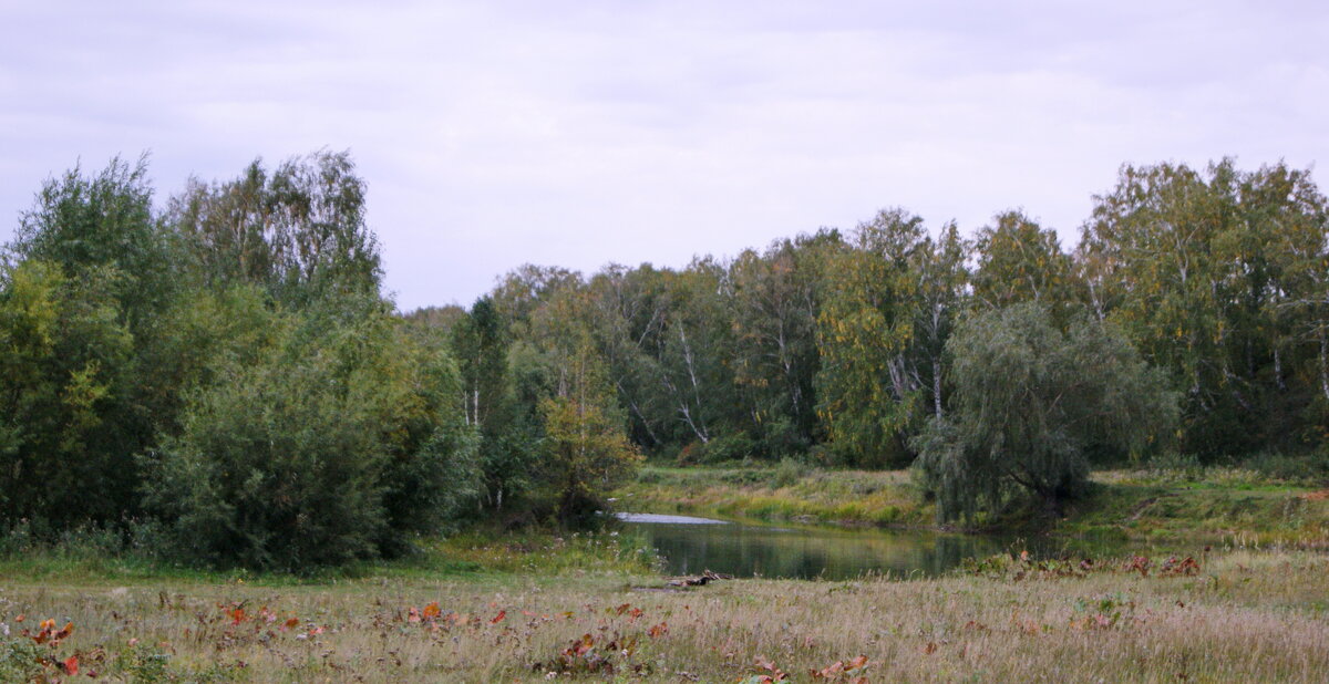 Осень и местная речка Ачаирка. - сергей 