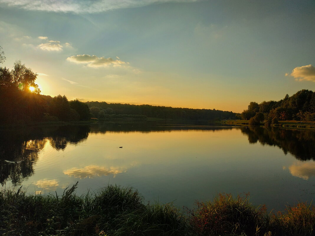 Тихий почти летний вечер на пруду - Андрей Лукьянов