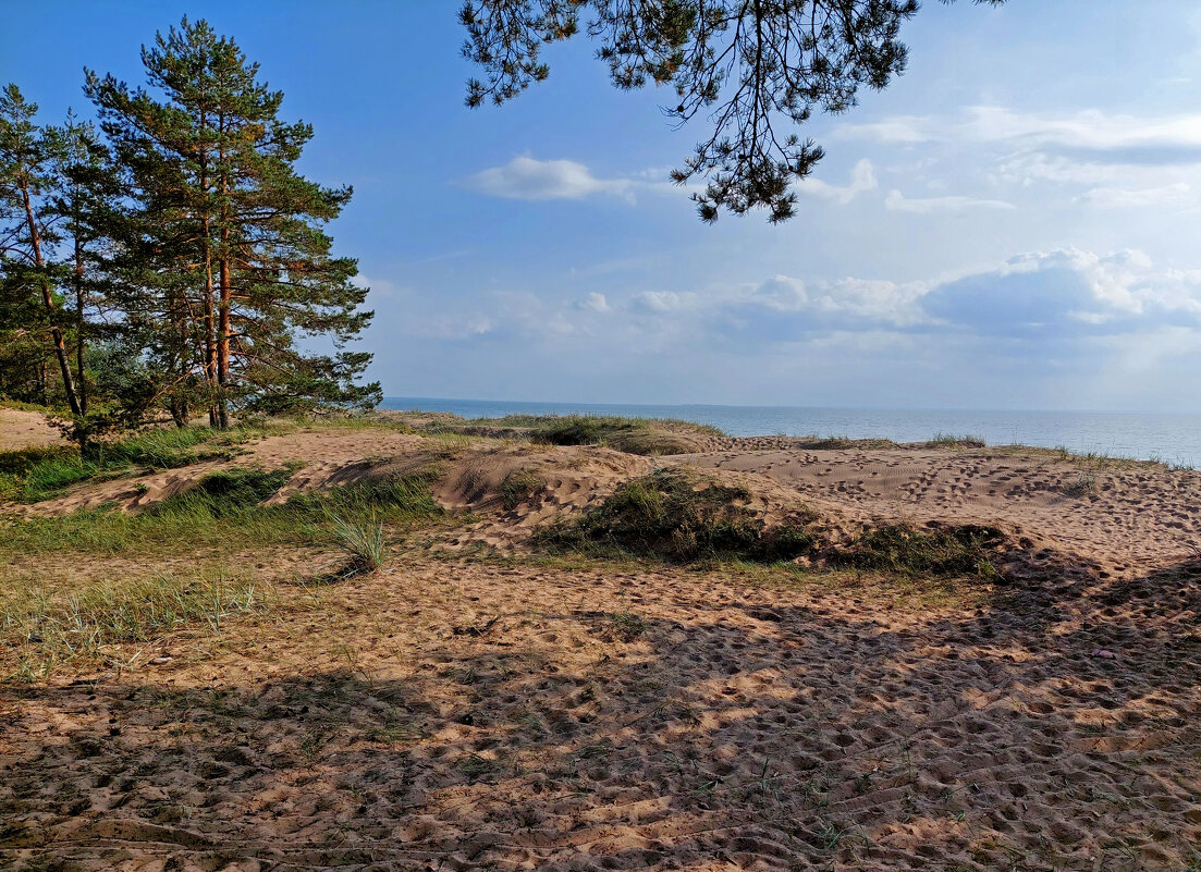 Комарово, Финский залив - Ирина Румянцева