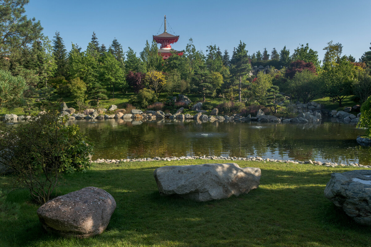 Камни Японского сада - Владимир Жуков
