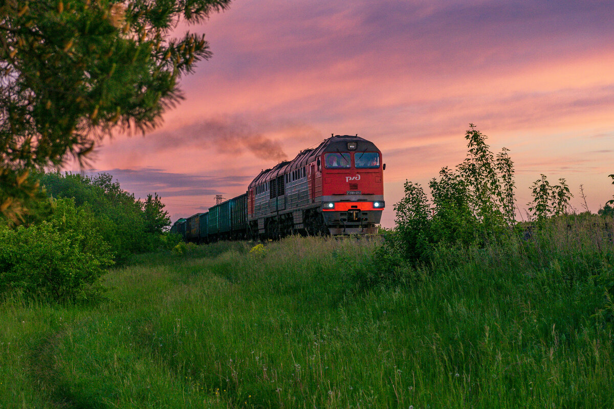 Поезд в закат - Дмитрий Ряховский