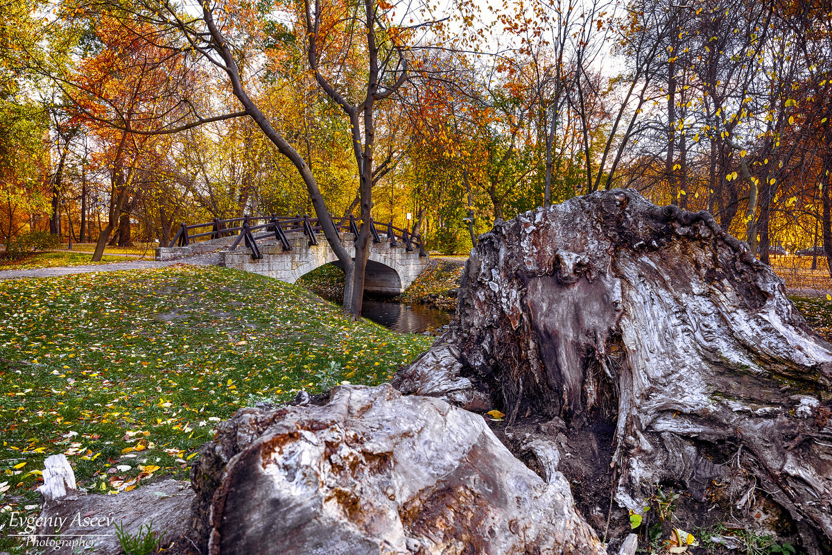 В осеннем парке - Евгений 