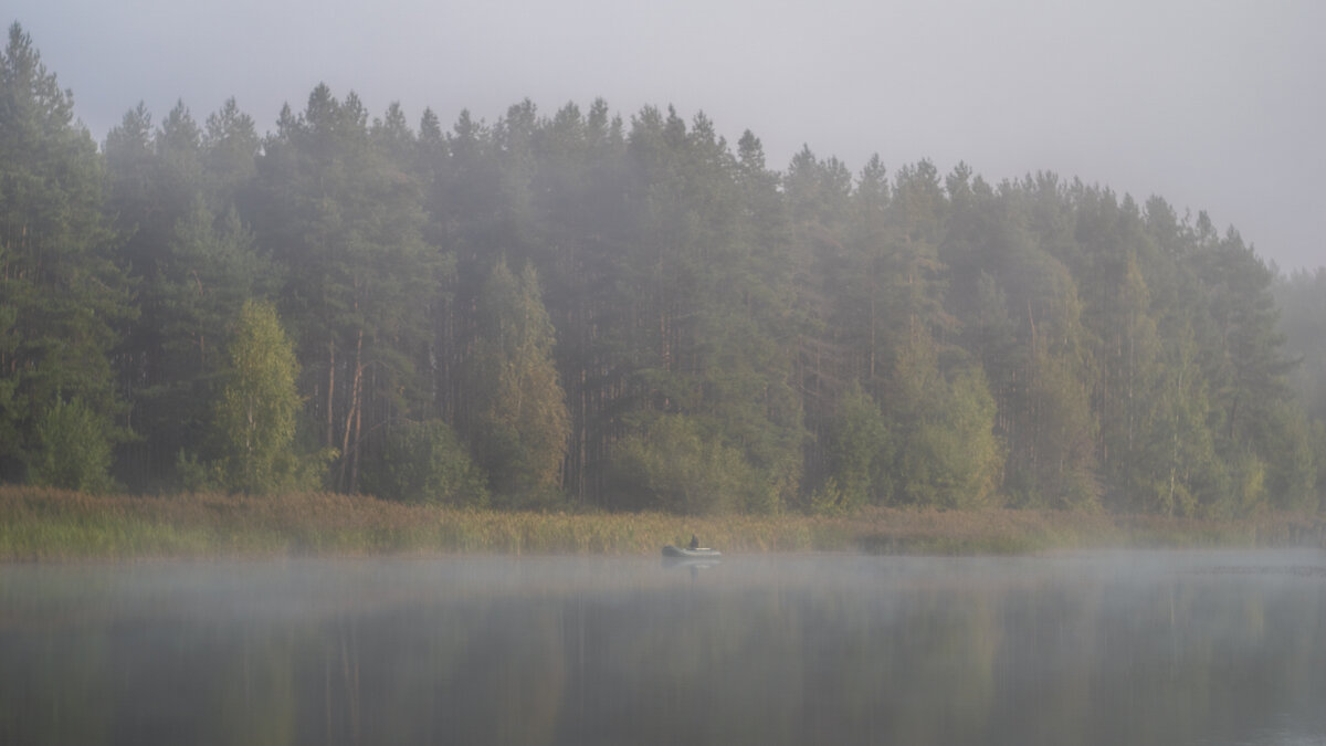 рыбалка в тумане - Алексей Жариков