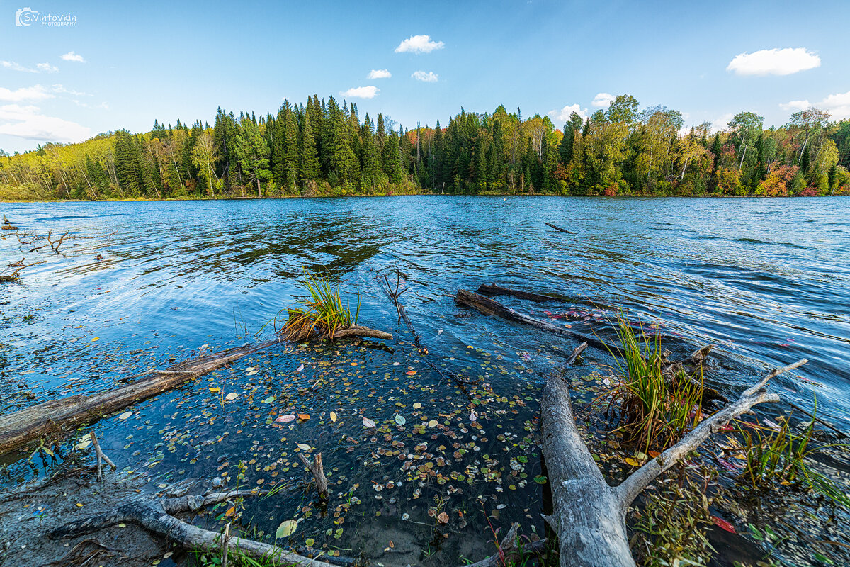 Осеннее, таежное, карасевое озеро - Сергей Винтовкин