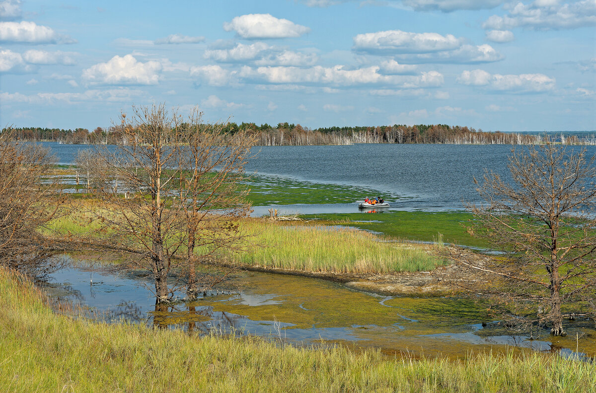Рыбалка на озере - Дмитрий Конев