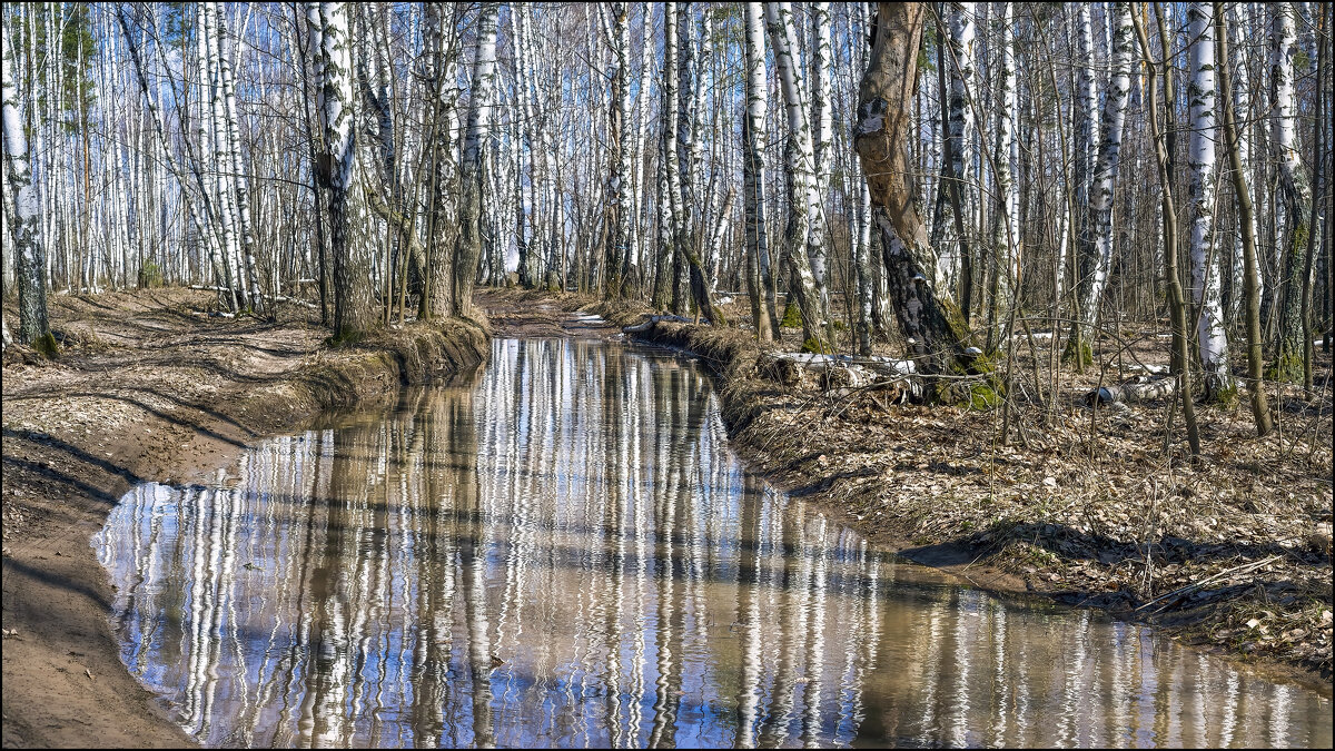 Апрель - vedin 