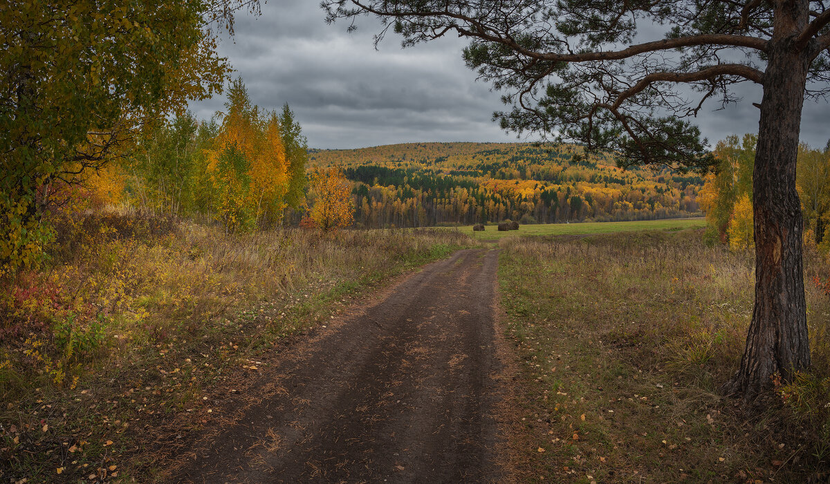 * - Александр Иванов