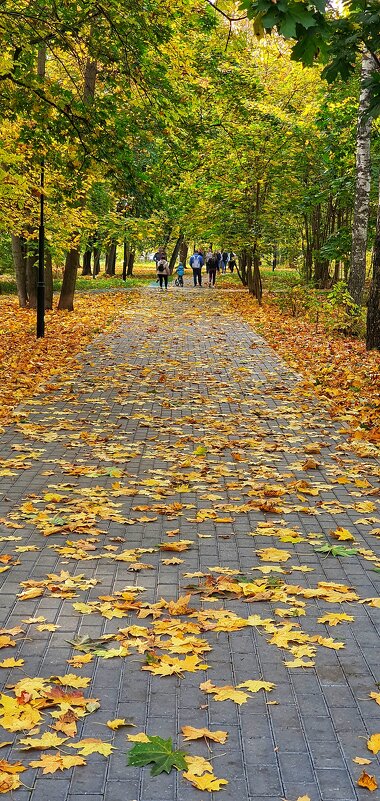 Ходит осень в нашем парке - Светлана Ан