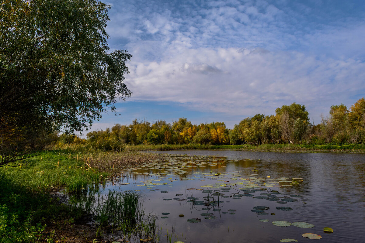 Осенний пейзаж - Владимир Жуков