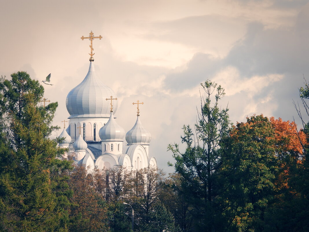 Церковь на Пискарёвке - Алексей 