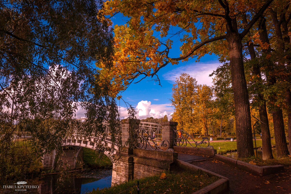 Осень в Гатчинском парке - Павел Крутенко