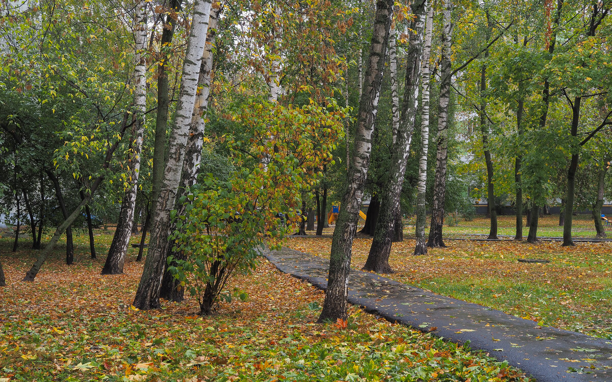 Осень в Городе - юрий поляков