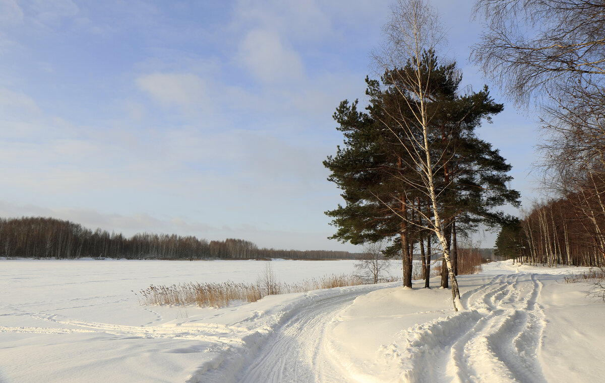 Зимний пейзаж - Oleg S