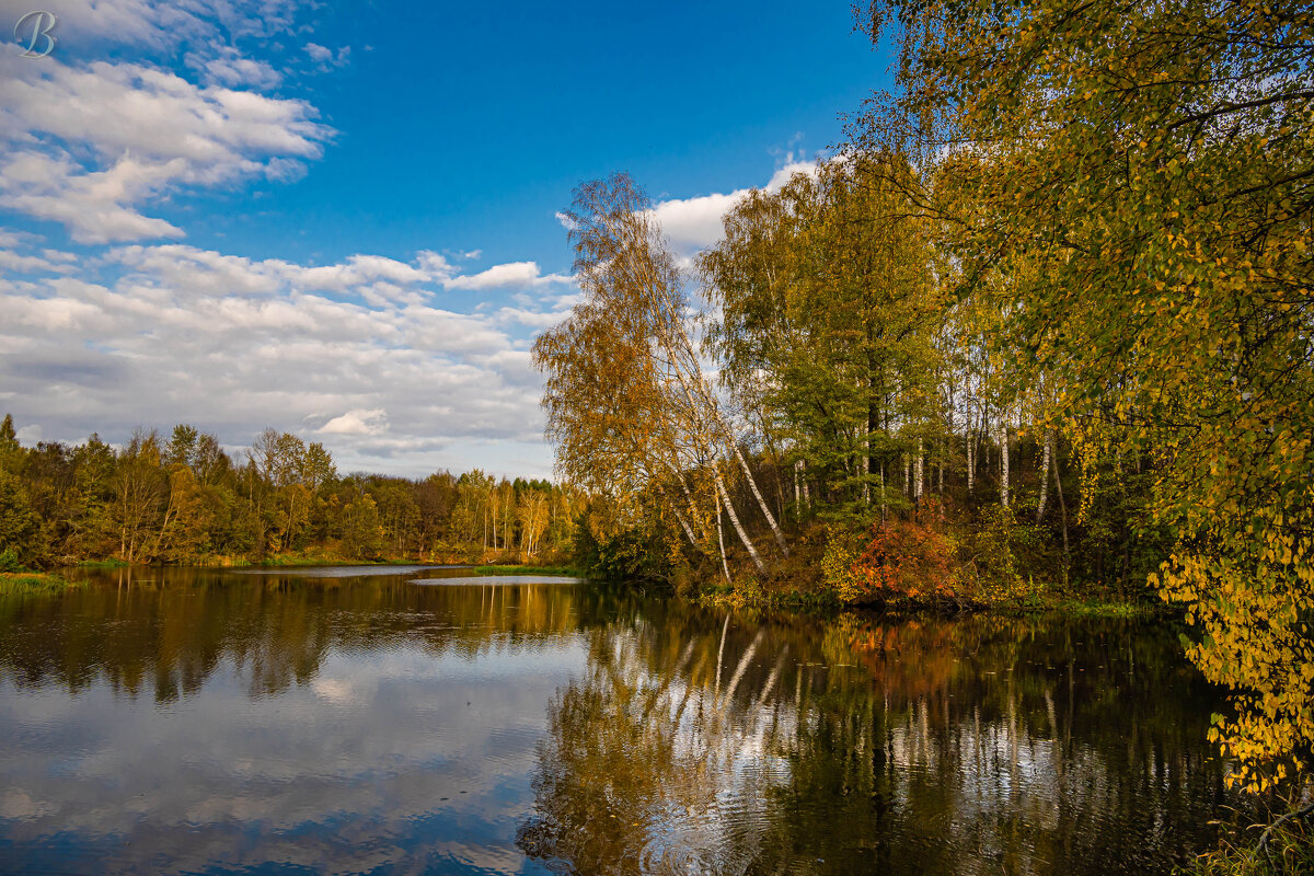 Дендропарк Кострома