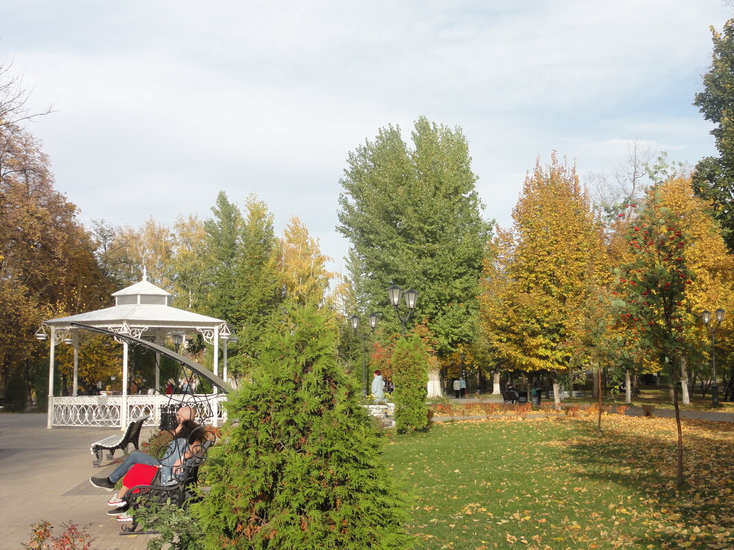 Осень в Струковском саду - марина ковшова 
