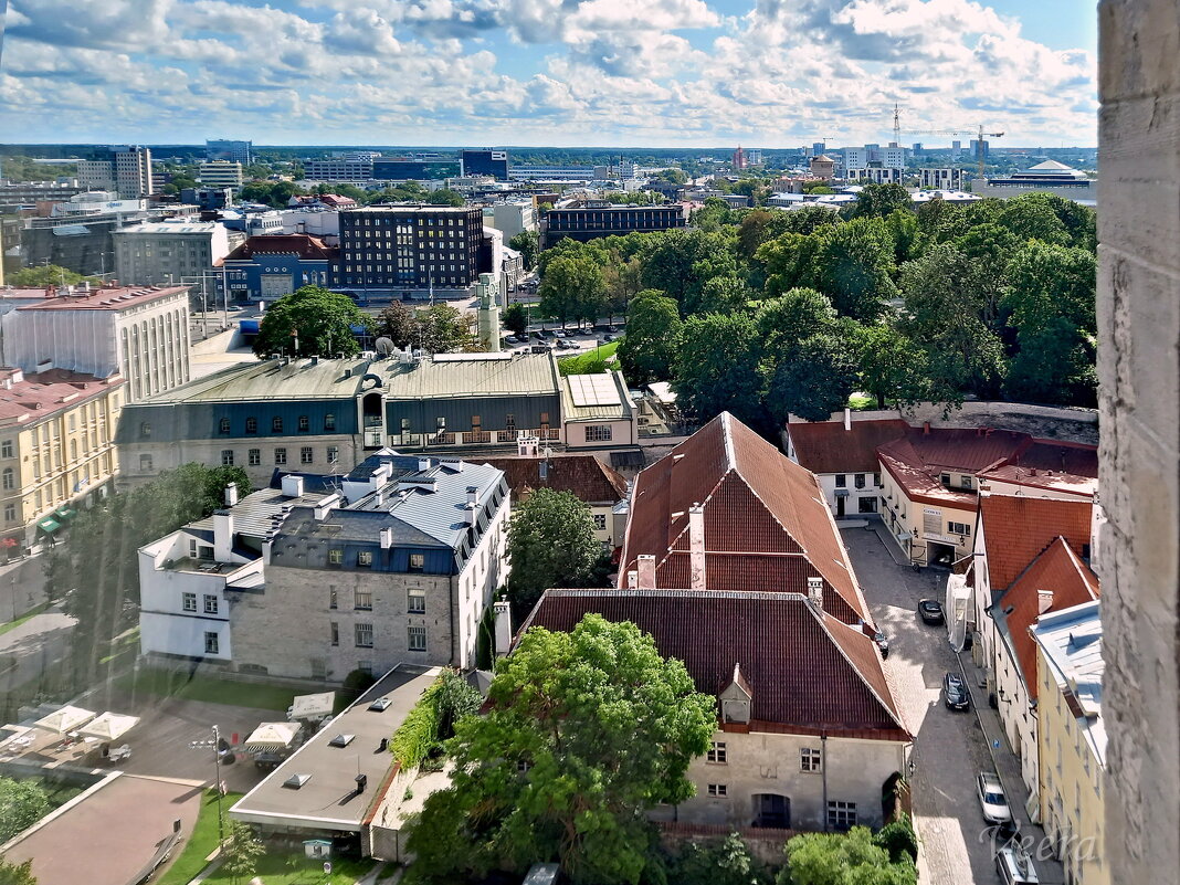 Старый Таллин со смотровой площадки Нигулисте - veera v