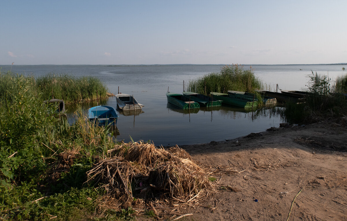 *** - Олег Грибенников