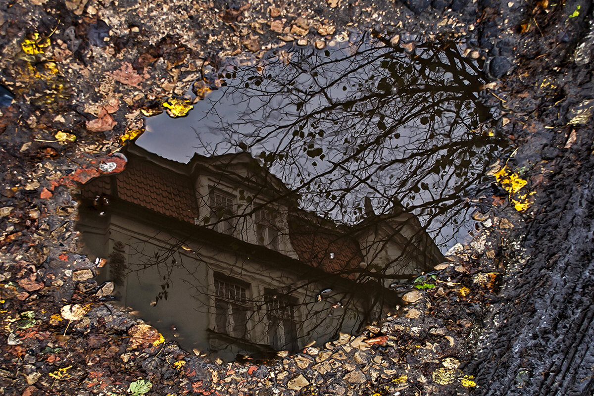 В осенней рамке - Регина 